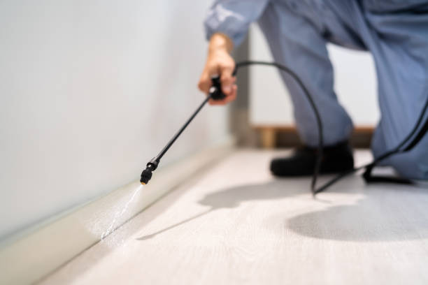 Licensed Termite Control service in Tecumseh, OK - Nex Pest Control
