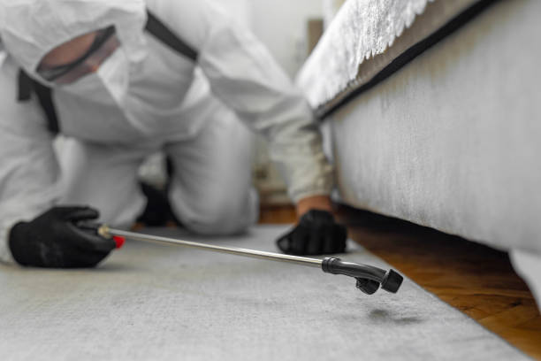 Professional Termite Control technician working in Tecumseh, OK