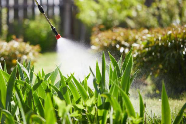 24/7 Emergency Termite Control experts in Tecumseh, OK