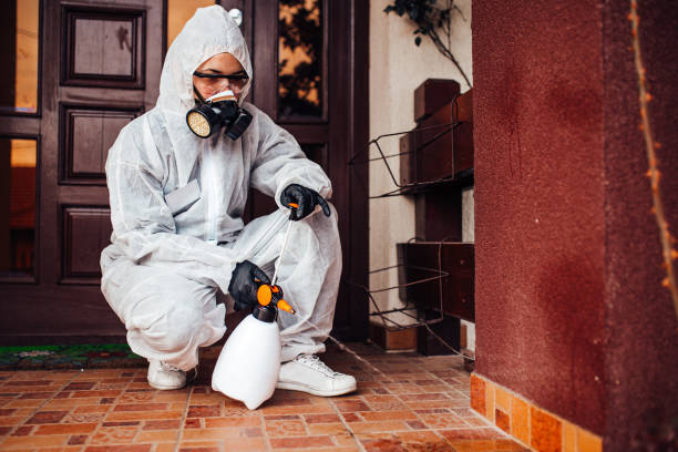 Reliable Termite Control contractor in Tecumseh, OK by Nex Pest Control