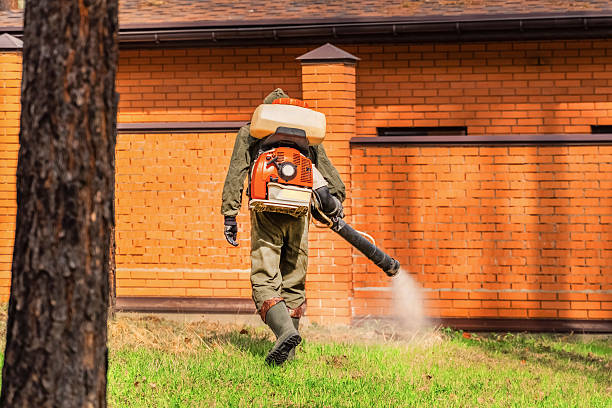 Trusted Termite Control service in Tecumseh, OK - Nex Pest Control